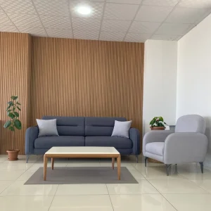 Hasko Bingöl Mobilya - Petra Koltuk Takımı