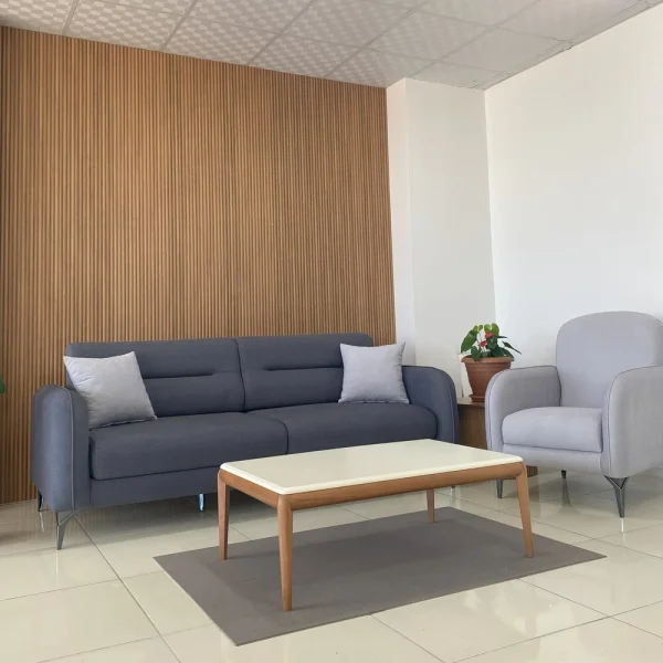 Hasko Bingöl Mobilya - Petra Koltuk Takımı