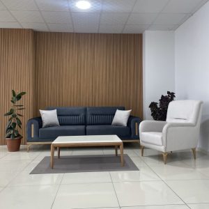 Hasko Bingöl Mobilya | Mercan Koltuk Takımı