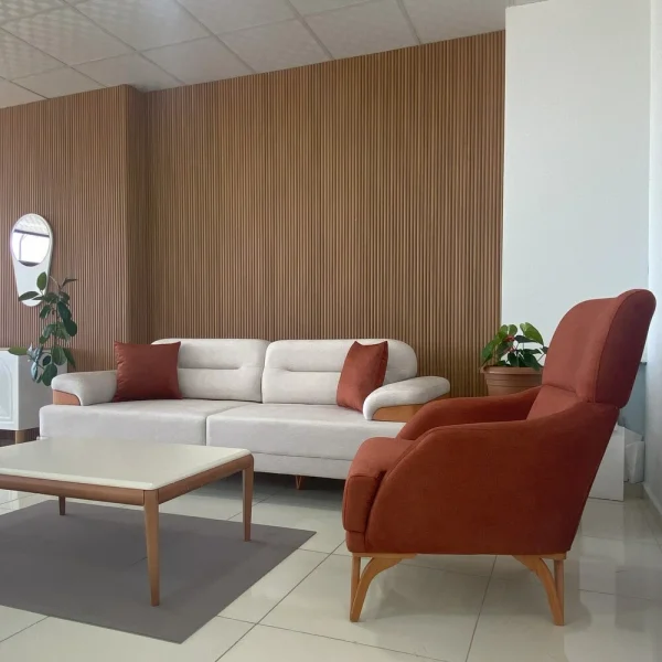 Hasko Bingöl Mobilya - Konfor Koltuk Takımı