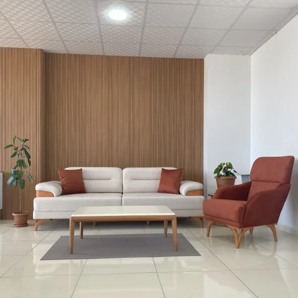 Hasko Bingöl Mobilya - Konfor Koltuk Takımı